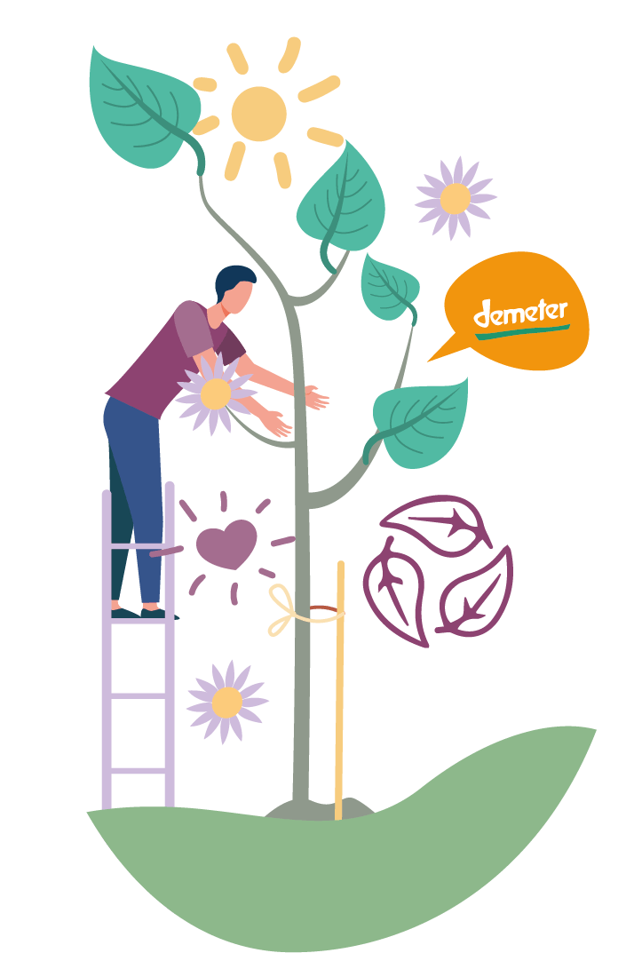 Illustration de la charte
