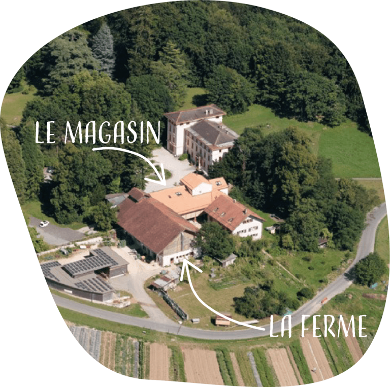 Le magasin et la ferme du Bois-Genoud